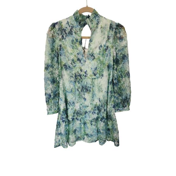 Tuckernuck Water Lilies Organza Palmerston Dress Sz XS - Picture 5 of 7